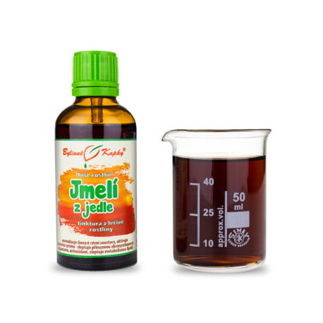 Fagyöngy fenyőből - Gyógynövénycseppek (tinktúra) Növények lelke 50 ml