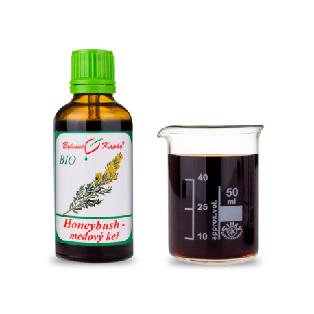 Honeybush BIO csepp (tinktúra) 50 ml