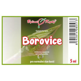 Fenyőrügyek 5 ml - gemmoterápia
