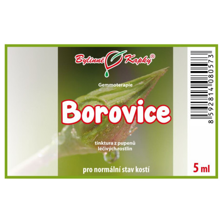 Fenyőrügyek 5 ml - gemmoterápia