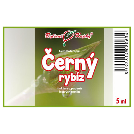 Fekete ribizli rügyek 5 ml - gemmoterápia