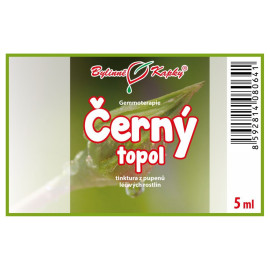 Fekete nyárfa rügyek 5 ml - gemmoterápia