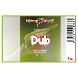 Tölgyfa rügyek 5 ml - gemmoterápia