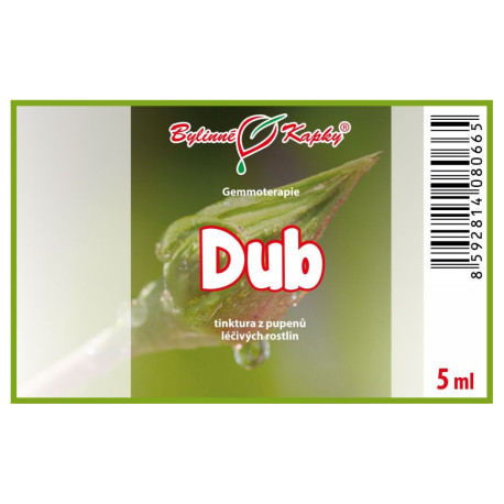 Tölgyfa rügyek 5 ml - gemmoterápia