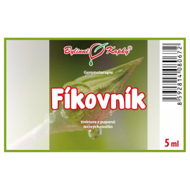 Füge rügyek 5 ml - gemmoterápia