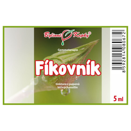 Füge rügyek 5 ml - gemmoterápia