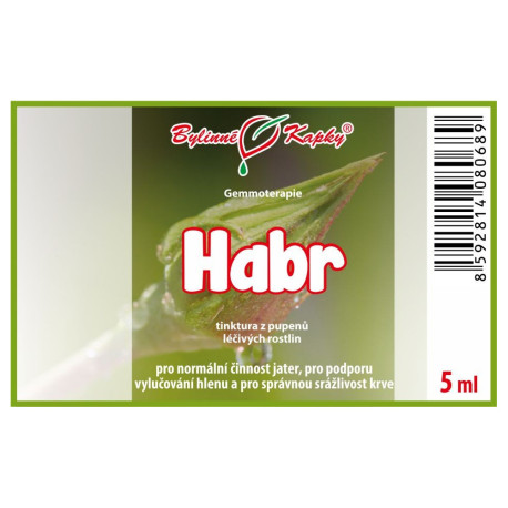 Gyertyán rügyek 5 ml - gemmoterápia