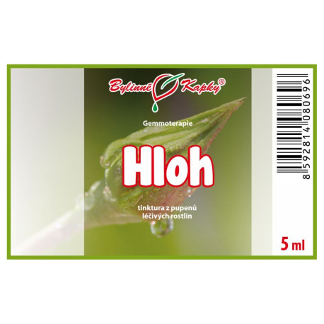 Galagonya rügyek 5 ml - gemmoterápia