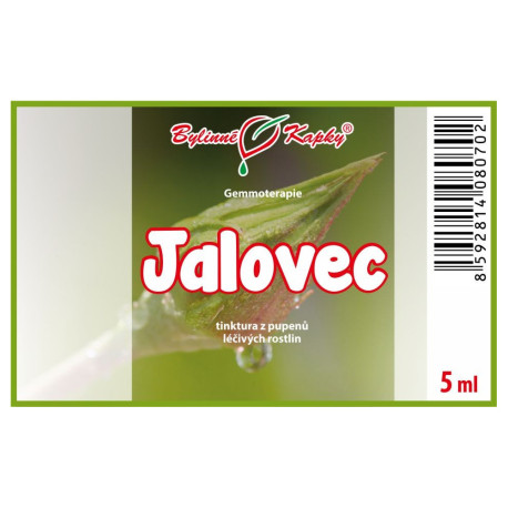 Boróka rügyek 5 ml - gemmoterápia