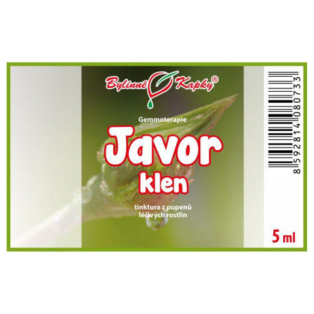 Hegyi juhar rügyek 5 ml - gemmoterápia