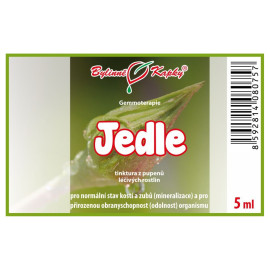 Fenyő rügyek 5 ml - gemmoterápia