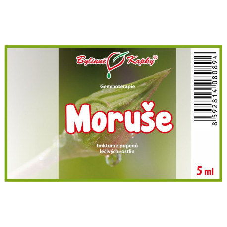 Eperfa rügyek 5 ml - gemmoterápia