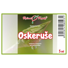 Berkenye rügyek 5 ml - gemmoterápia