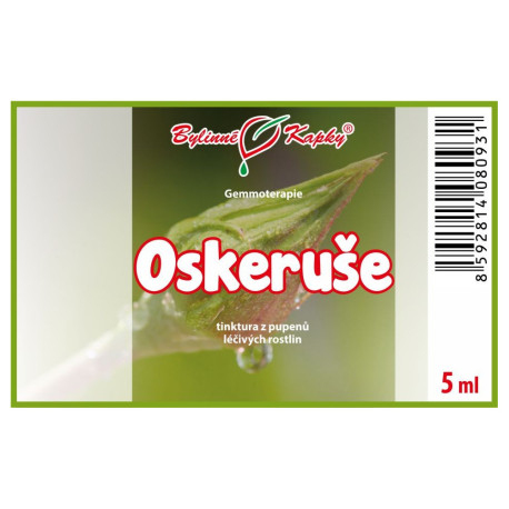 Berkenye rügyek 5 ml - gemmoterápia