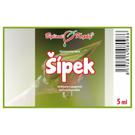 Csipkebogyó rügyek 5 ml - gemmoterápia