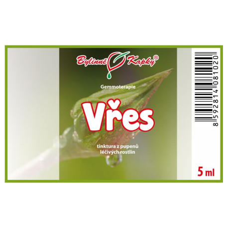 Hanga rügyek 5 ml - gemmoterápia