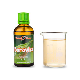 Erdei fenyő rügy 50 ml - gemmoterápia