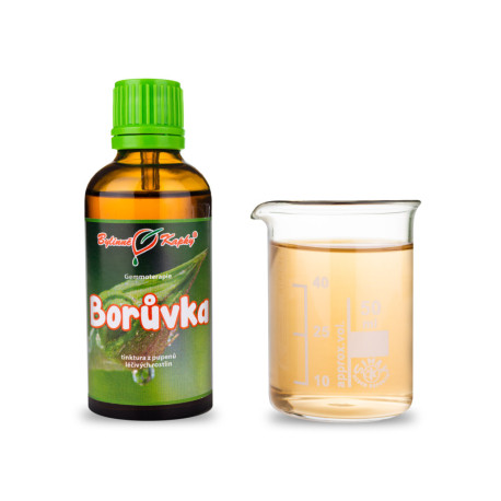 Áfonya áfonya rügyek 50 ml - gemmoterápia