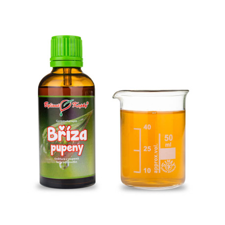 Nyírfa rügyek 50 ml - gemmoterápia