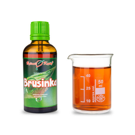 Áfonya rügyek 50 ml - gemmoterápia