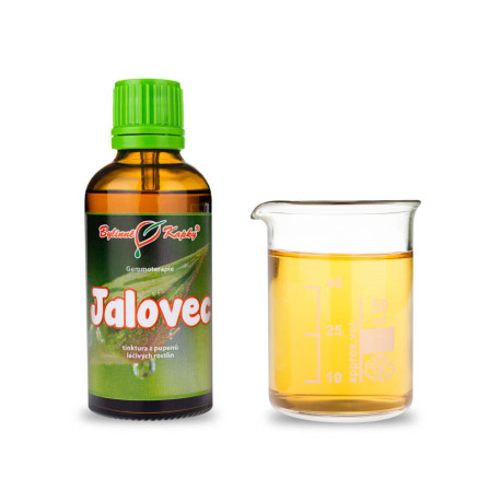 Boróka rügyek 50 ml - gemmoterápia