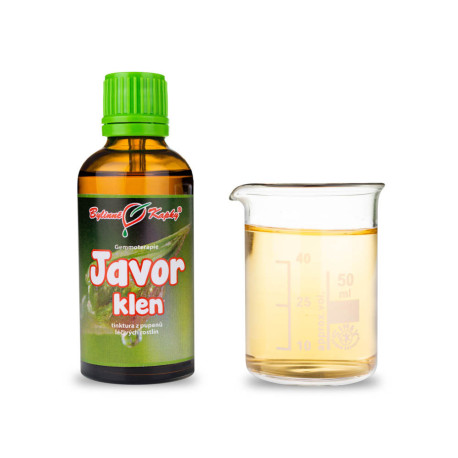 Hegyi juhar rügyek 50 ml - gemmoterápia
