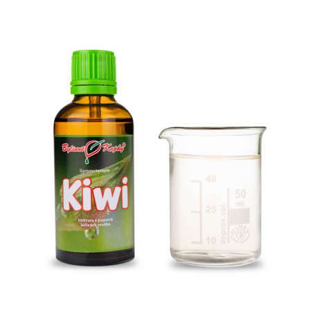 Kínai Actinidia Buds 50 ml - gemmoterápia