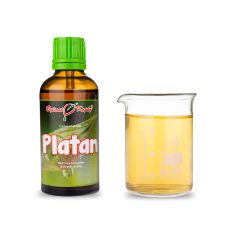 Platánfa rügyek 50 ml - gemmoterápia