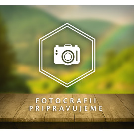 CZ BOX Tej bogáncs őrölt gyümölcs 15 x 120 g