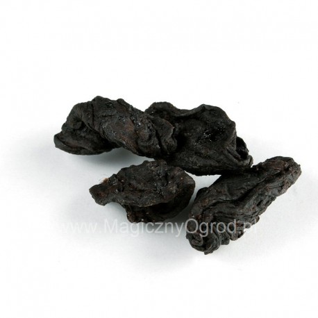 Garcinia gyümölcs - Garcinia cambodia - 500g összesen