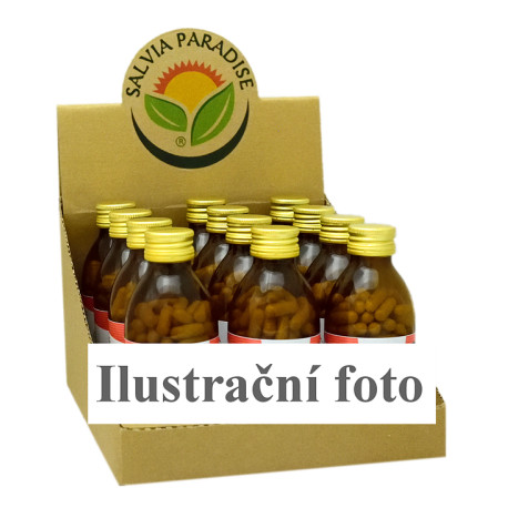 CZ BOX Dandelion Medical Capsule 12 x 120 darab