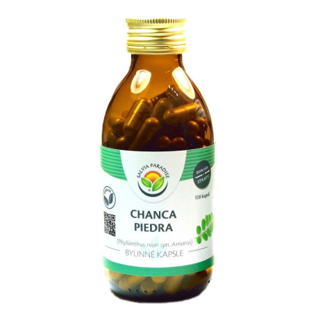 Chanca piedra 120 darabos kupak