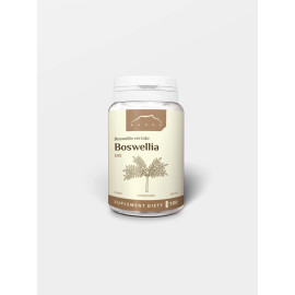 Boswellia 100 kapszula x 500 mg - 100