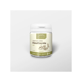 Houttuynia 100 kapszula x 250 mg - 100