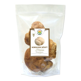 Korall - Hericium 100 g