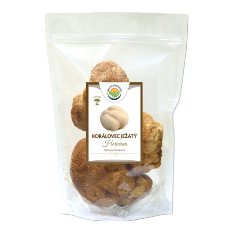 Korall - Hericium 100 g