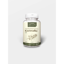 A pengyökér kivonat 40% kapszulák - 100