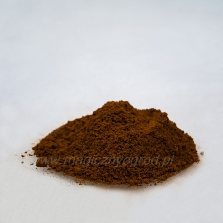 Chaga - Inonotus obliquus - 100g őrölt