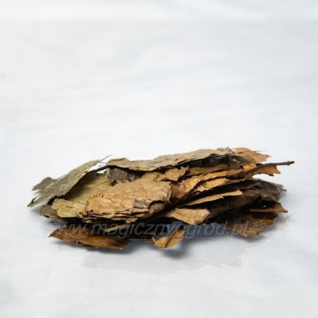 Ilex guayusa levél - 100g egész
