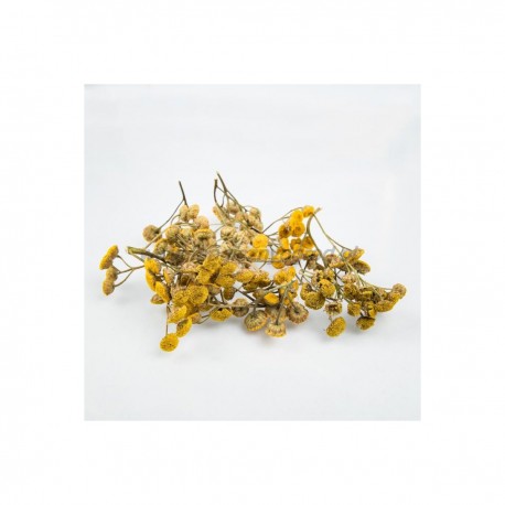 Tanacetum vulgare virág - Tanacethum vulgare - 50g