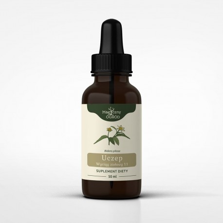 Kétfogú szőrös tinktúra 1:1 50 ml - Bidens pilosa - 50 ml