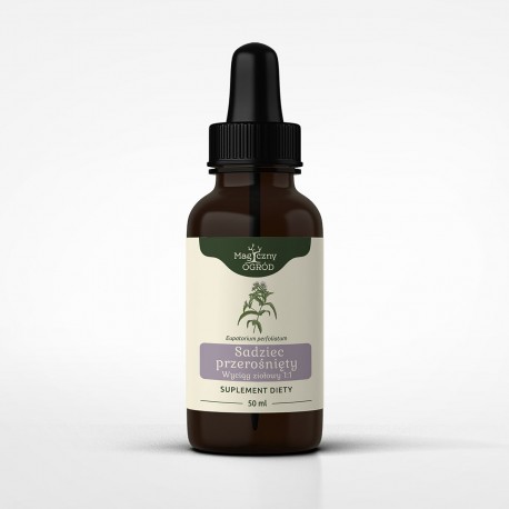 Kender tinktúra 1:1 50 ml - Eupatorium perfoliatum - 50 ml