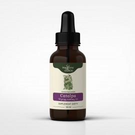 Catalpa bignonioides tinktúra 1:1 50 ml - Catalpa bignonioides - 50 ml