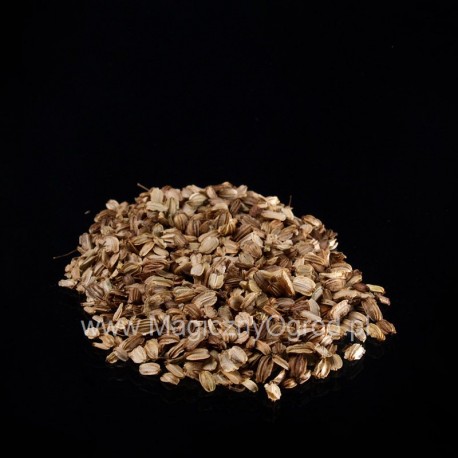 Archangelica magvak - Angelica archangelica - 50g összesen