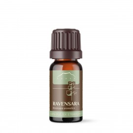 Ravensara aromatica olaj - 100% illóolaj - 10ml - Ravensara aromatica