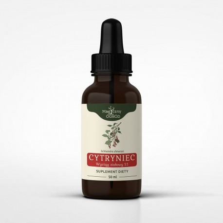 Kínai parlagfű - Schisandra chinensis tinktúra 1:1 50 ml - Schisandra chinensis