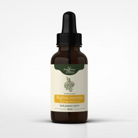 Egynyári üröm - Artemisia tinktúra 1:1 50 ml - Artemisia annua - 50 ml