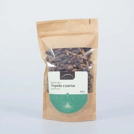 Fekete nyár - Populus nigra - 250g rügyek