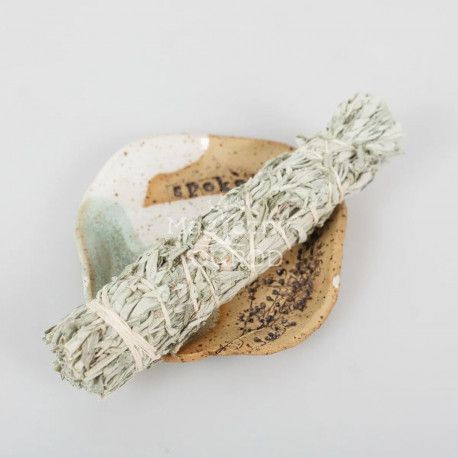 Ürömköteg közepes - Artemisia ludoviciana