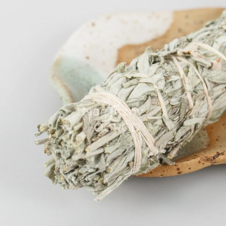 Ürömköteg közepes - Artemisia ludoviciana